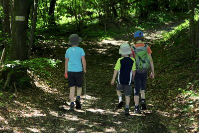 21074094101 6df1ccd74b o