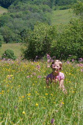 21074124921 cd0b471ffd o