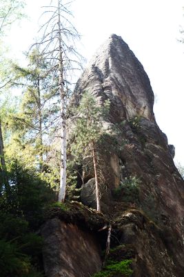 28008036362 12ddff58fb o