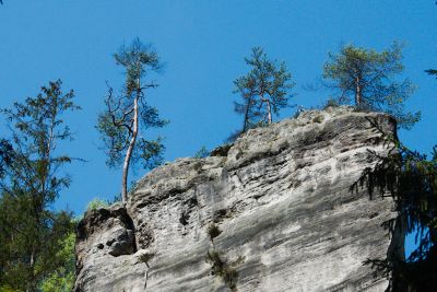 28008053012 81533eb910 o