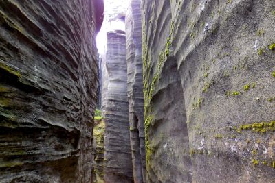 28008083082 1696b76902 o