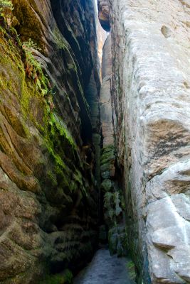 28033007151 cfae6e0c7e o