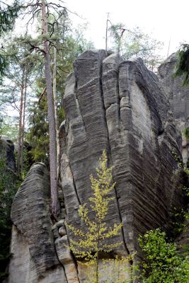 28033032961 f59a42c123 o