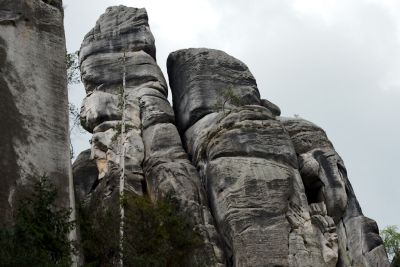 28033047881 edbacd1835 o