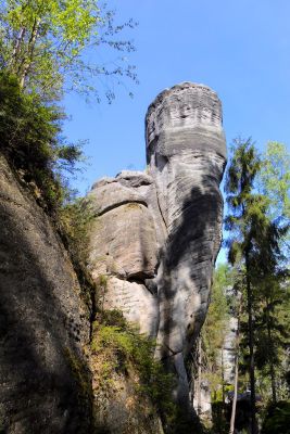 Adarszpachy 2016