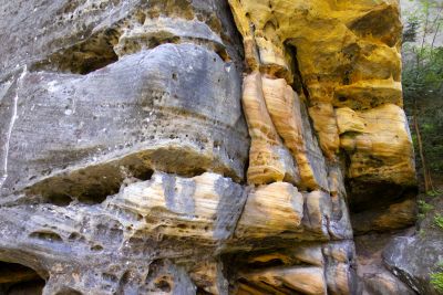 28110500635 dc8573f67e o