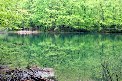 8870809092 2f50154c08 o