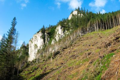 15339413976 e86cebc7ac o