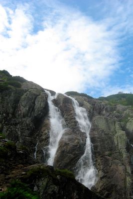 15359257721 966aa14f9a o