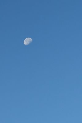 15359268001 6ecc21baac o