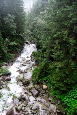 15362130142 6e61788a46 o