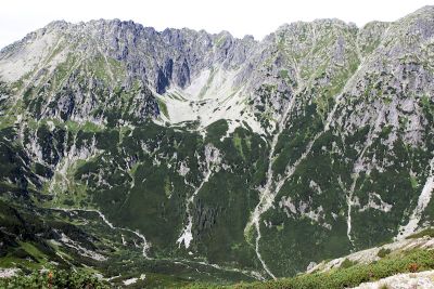 15362142682 3567b34b55 o