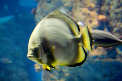 33484710442 578ea67a0f o