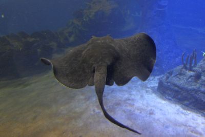 33484720382 ac5debd6a0 o