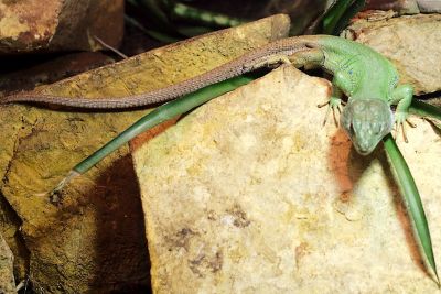 33511946711 9a1613c709 o