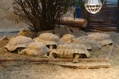 33511977991 5a6ec95591 o