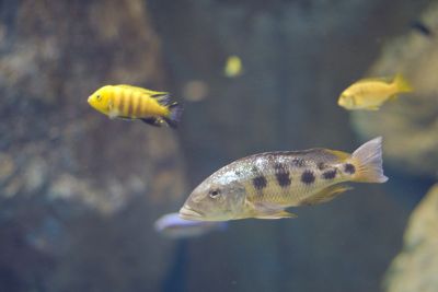 33512013941 b7fbfb83e9 o