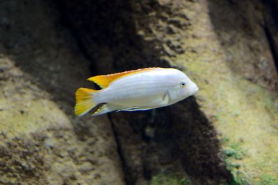 33512015761 547bf48b3e o