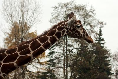 33600621646 3257e2fb47 o