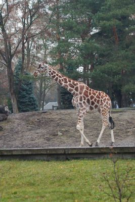 33600622326 ca5acbf9be o