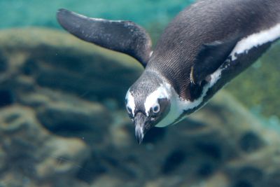 33600635696 0863bfd9f2 o