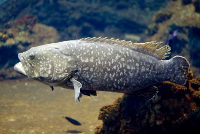 33600643006 2529fcbf2e o