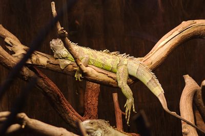 33640965405 3200f2db92 o