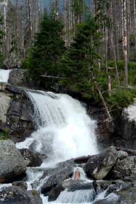 36343450670 b3f0fff8c2 o