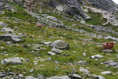 36569478852 09a607e9d5 o