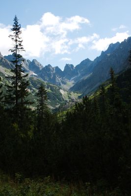 36569568662 6c397b3241 o