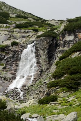 36600232431 7845b237fd o