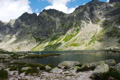 36600235851 33ebbbf42e o