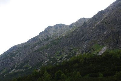 36692178776 6c96df163f o