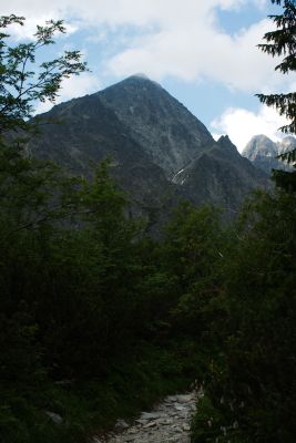 36692209736 1f5ba37b89 o