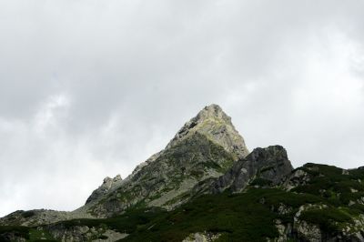 36692341316 181fc8aedb o