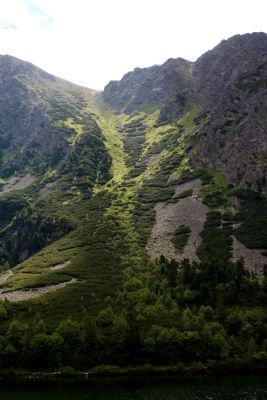 36692362596 538f269ce7 o