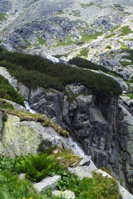 36692588956 ec2782efdc o