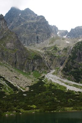 36739258005 2606862c99 o