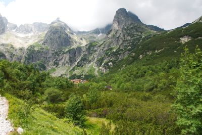 36739266165 a1d0f3c3d1 o