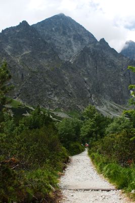 36739269185 4d3d480429 o