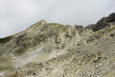 36739327755 1ae3bda83e o