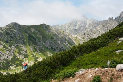 36739350035 0f8ec78c8d o