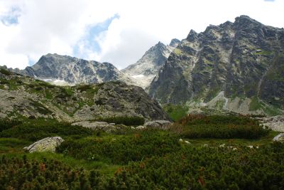 36739406735 27b22c1a38 o