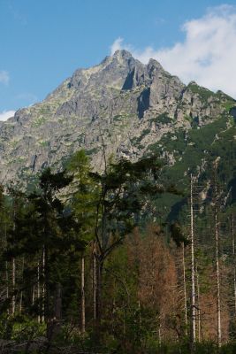 36739431455 527545a1f4 o