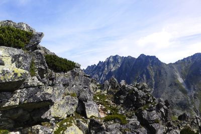 36739605355 71acdc1a91 o