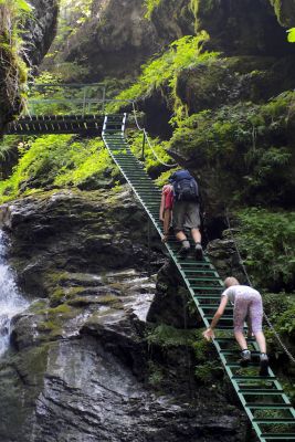 36600365631 3b43465d8b o