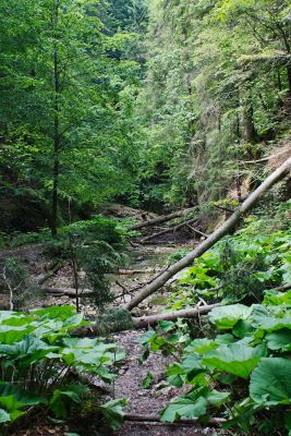 36692063196 b3f71d7b5e o