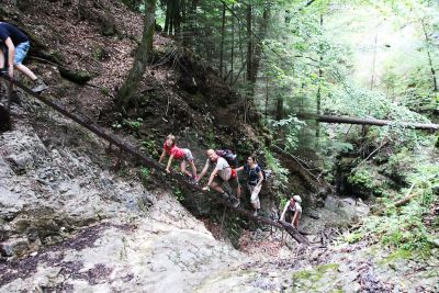 36692441506 35b2716248 o