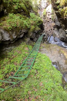 36692502876 29418a86cb o