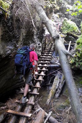 36692510436 1320128620 o